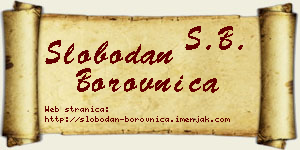 Slobodan Borovnica vizit kartica